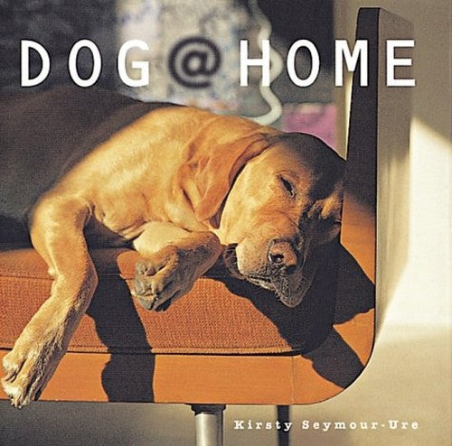 Dog @ Home