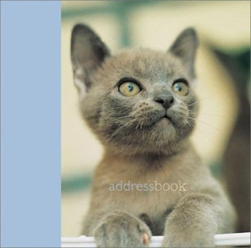 Kitten at Play (Mini Address Book)