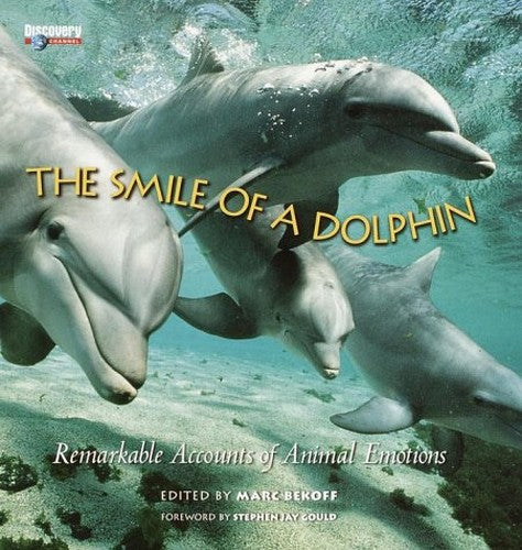 The Smile of a Dolphin