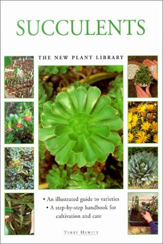 Succulents