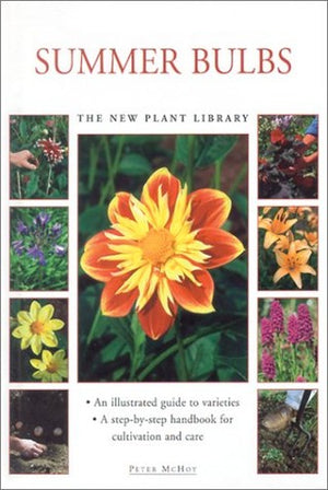 Summer Bulbs