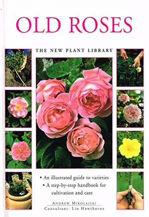 Old Roses