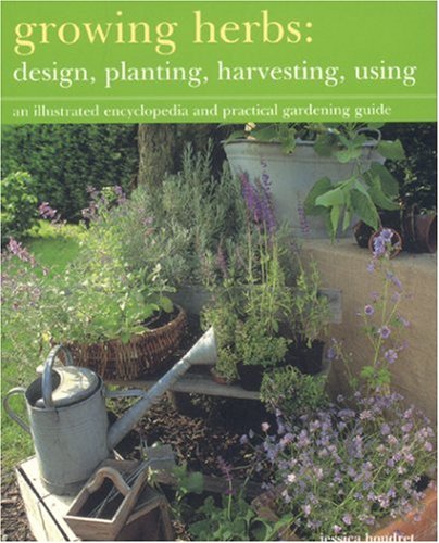 Growing Herbs