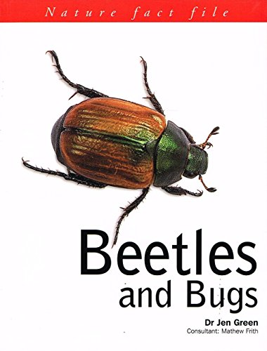 Beetles and Bugs
