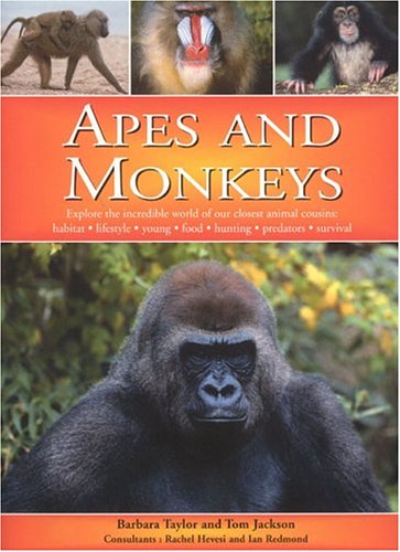 Apes and Monkeys