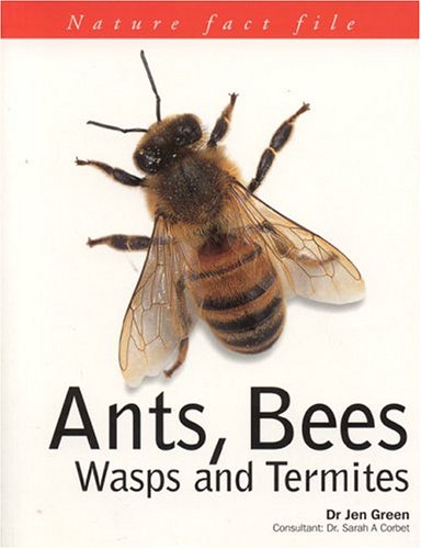 Ants, Bees, Wasps and Termites