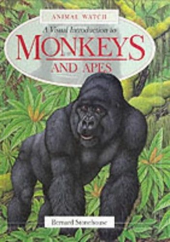A Visual Introduction to Monkeys and Apes