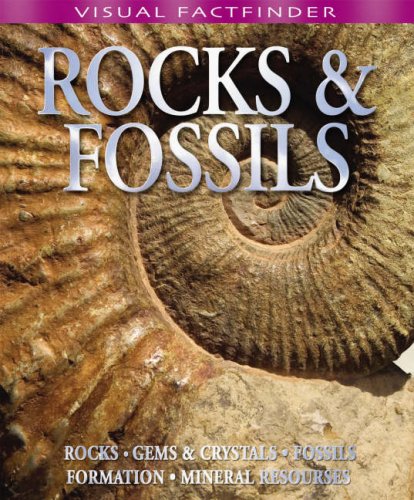 Visual Factfinder - Rocks and Fossils