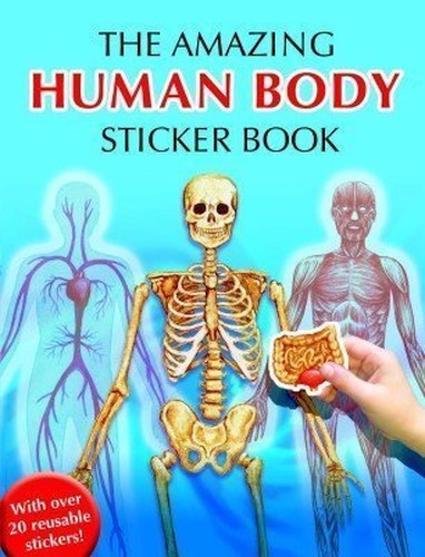 Human Body Sticker Book