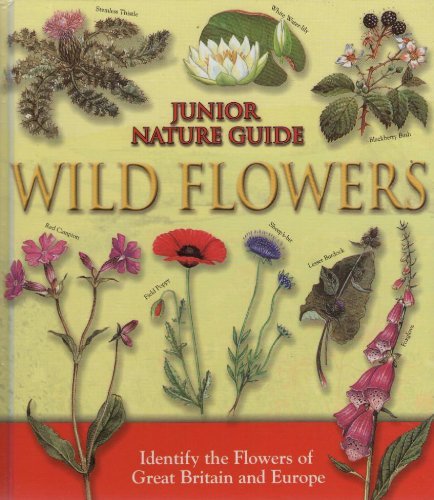Junior Nature Guide Wild Flowers
