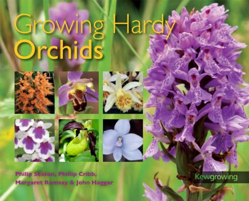 Growing Hardy Orchids