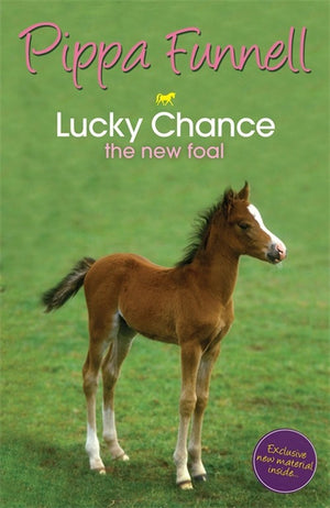 Tilly's Pony Tails: Lucky Chance the New Foal