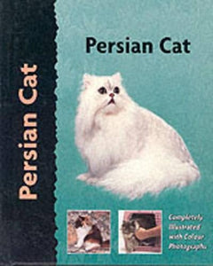 Persian Cat 