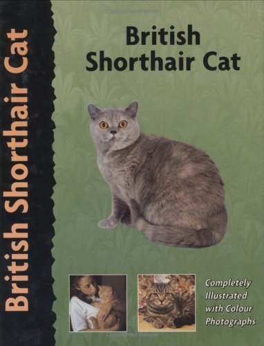 British Shorthair Cat