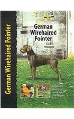 German Wirehaired Pointer
