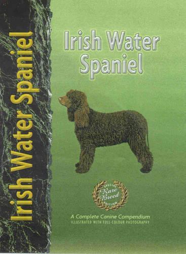 Irish Water Spaniel