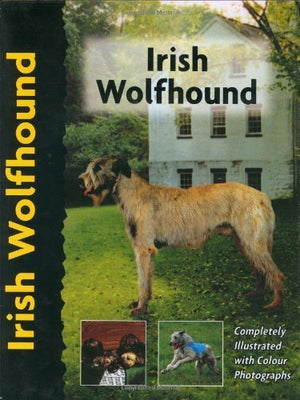 Pet Love Irish Wolfhound