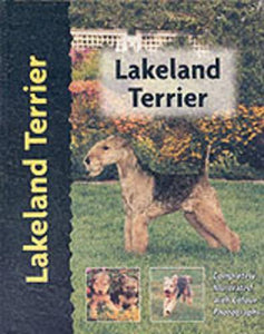 Lakeland Terrier 
