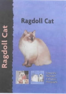 Ragdoll Cat 