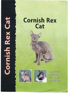 Cornish Rex Cat 