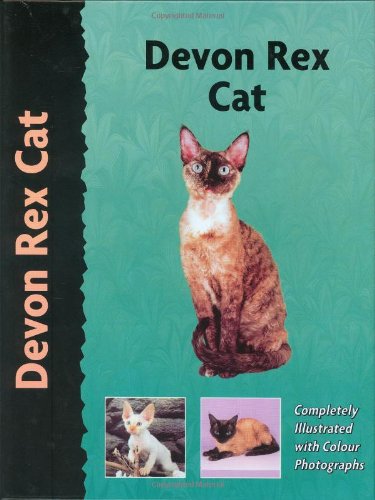 Devon Rex Cat