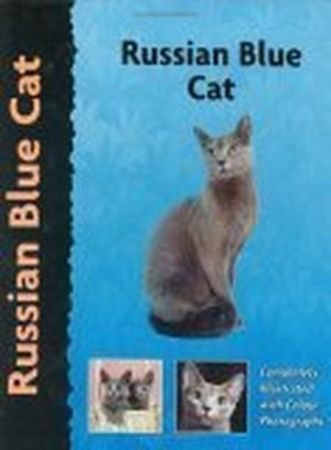 Russian Blue Cat
