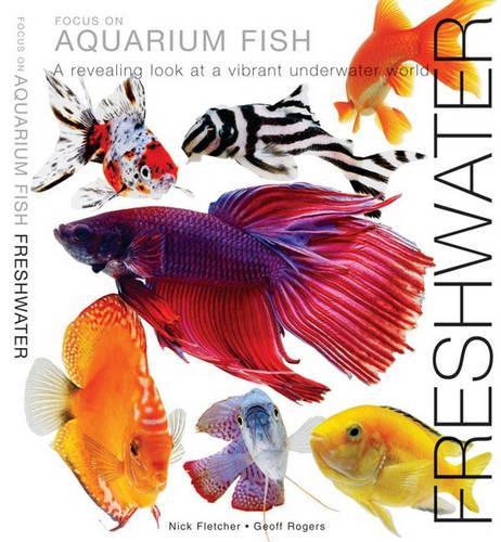 Focus on Aquarium Fish