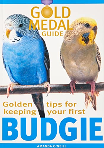 Budgie