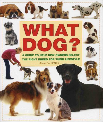 What Dog