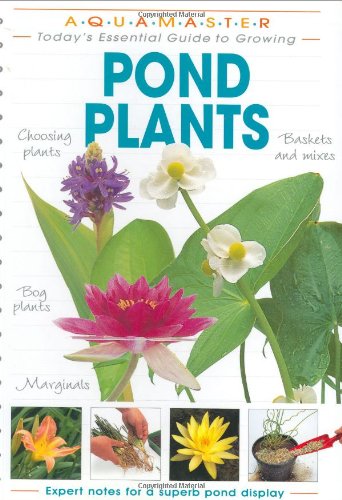 Pond Plants