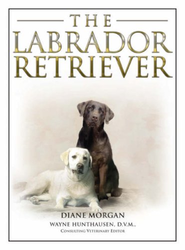 The Labrador Retriever