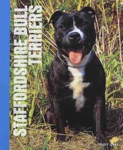 Staffordshire Bull Terriers