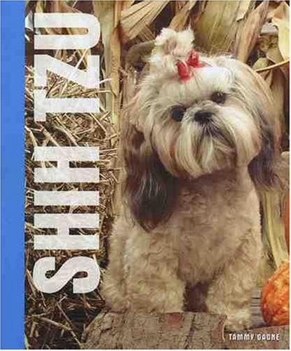 Shih Tzu