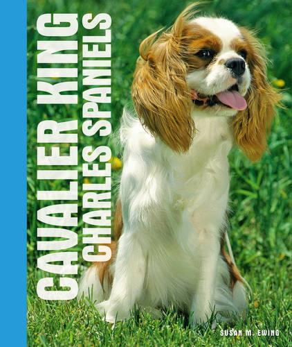 Cavalier King Charles Spaniels