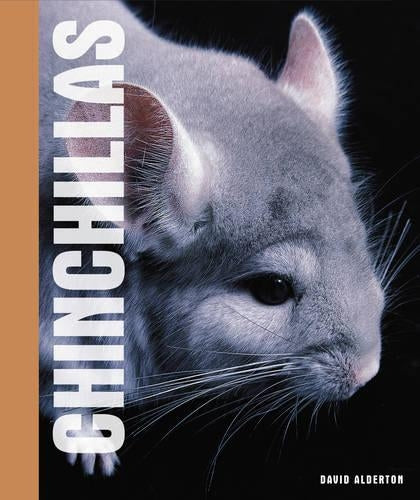 Chinchillas