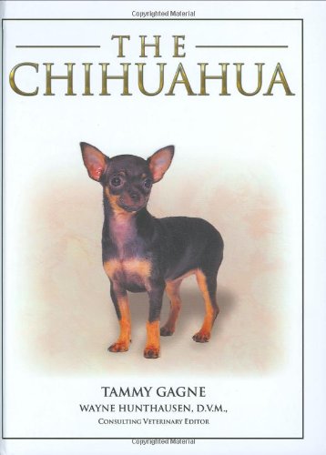 The Chihuahua