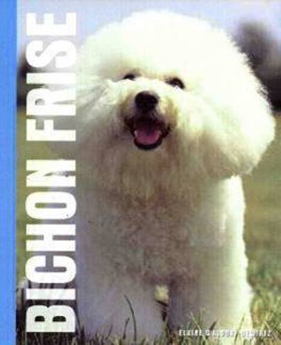 Bichon Frise