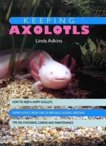 Keeping Axolotls