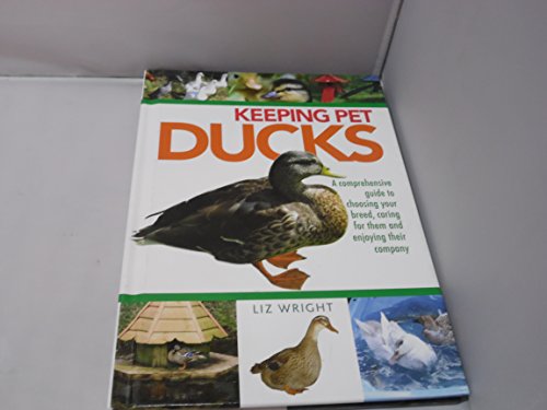 Keeping Pet Ducks
