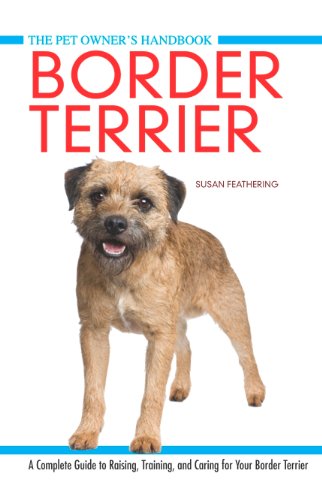 Border Terrier