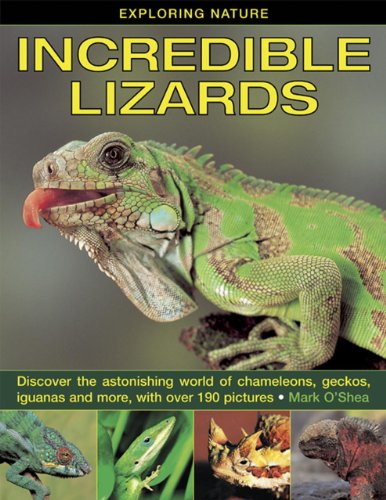 Exploring Nature: Incredible Lizards