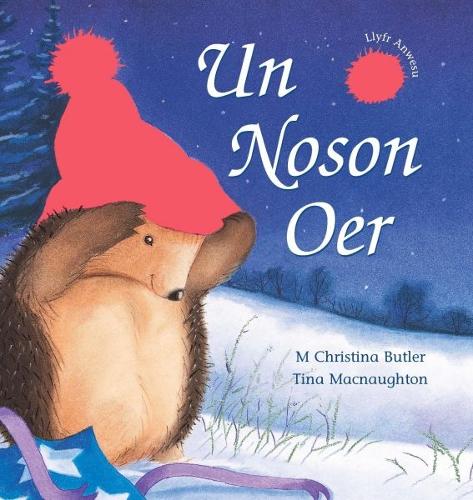 Cyfres Draenog Bach: Un Noson Oer