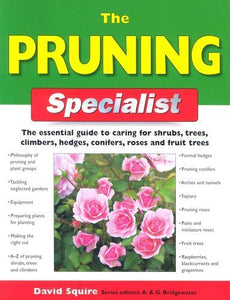 The Pruning Specialist 