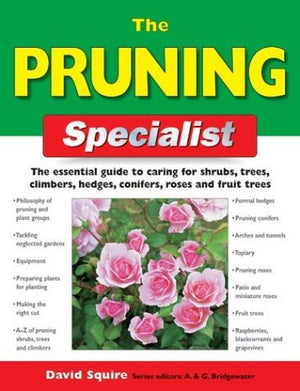 The Pruning Specialist