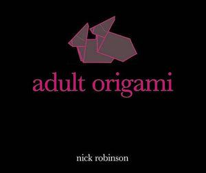 Adult Origami 