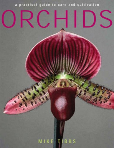 Orchids