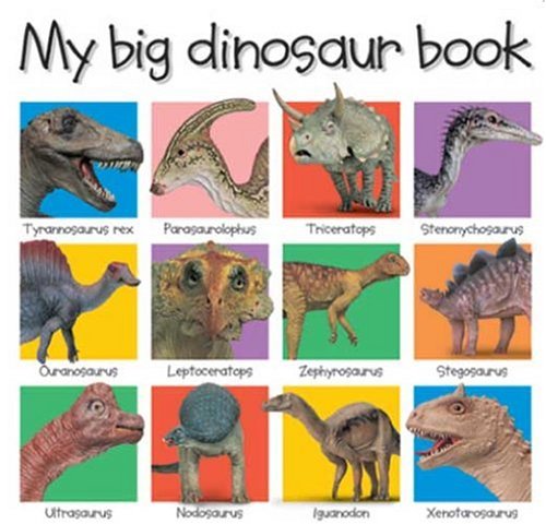 My Big Dinosaur Book