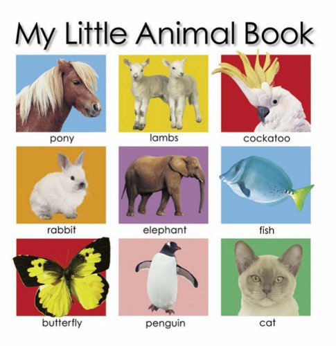 My Little Animal Book