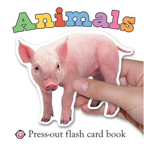 Animals Flash Cards Book