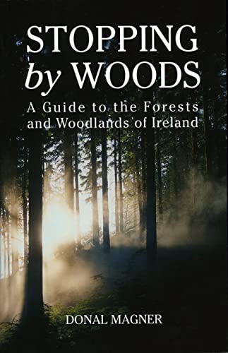 Stopping By Woods